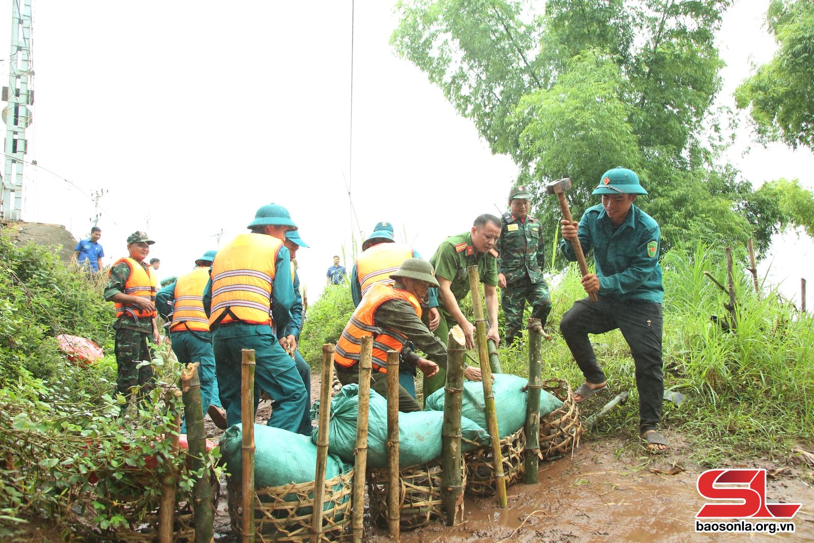 Tác động của hội chứng Down đến cuộc sống