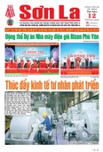 Báo Sơn La, thứ 6 ngày 12/6/2026