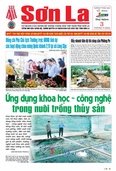 Báo Sơn La, thứ 5 ngày 3/9/2026