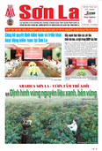 Báo Sơn La, thứ 5 ngày 8/10/2026