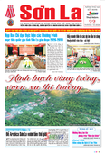 Báo Sơn La, thứ 5 ngày 22/10/2026