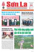 Báo Sơn La, thứ 4, ngày 28/1/2026