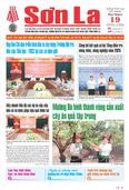 Báo Sơn La, thứ 5, ngày 19/3/2026