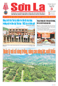 Báo Sơn La, thứ 4 ngày 3/6/2026