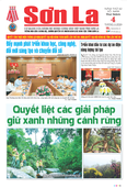 Báo Sơn La, thứ 5, ngày 4/6/2026