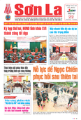 Báo Sơn La, thứ 4, ngày 22/7/2026
