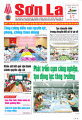 Báo Sơn La, thứ 5, ngày 17/9/2026