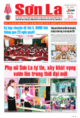 Báo Sơn La, thứ 3, ngày 20/10/2026