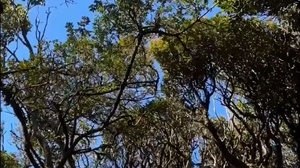 Chinh phục đỉnh núi Phu Sa Phìn