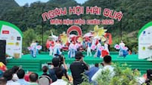 Sôi động ngày hội hái quả mận hậu thị xã Mộc Châu năm 2025