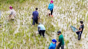 Sôi nổi Hội thi bắt cá