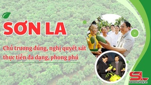 Sơn La - Chủ trương đúng, nghị quyết sát thực tiễn đa dạng, phong phú
