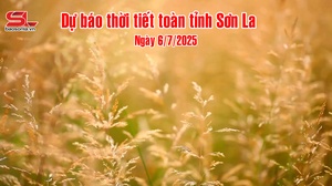 Dự báo thời tiết toàn tỉnh Sơn La ngày 6/7/2025