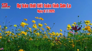 Dự báo thời tiết toàn tỉnh Sơn La ngày 8/7/2025