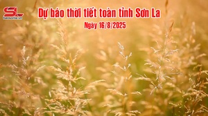 Dự báo thời tiết toàn tỉnh Sơn La ngày 16/8/2025