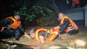 Những ánh sao trong mưa lũ