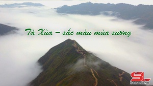 Chương trình "Tà Xùa – Sắc màu mùa sương"