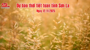 Dự báo thời tiết toàn tỉnh Sơn La ngày 12/11/2025