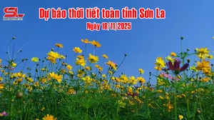 Dự báo thời tiết toàn tỉnh Sơn La ngày 18/11/2025
