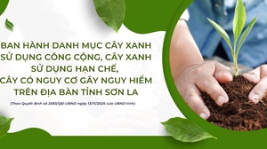 Ban hành danh mục cây xanh sử dụng công cộng, cây xanh sử dụng hạn chế, cây có nguy cơ gây nguy hiểm trên địa bàn tỉnh Sơn La