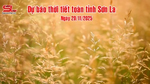 Dự báo thời tiết toàn tỉnh Sơn La ngày 20/11/2025