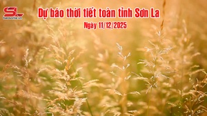 Dự báo thời tiết tỉnh Sơn La ngày 11/12/2025