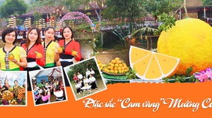 Đặc sắc "Cam vàng" Mường Cơi