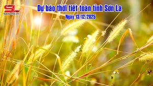 Dự báo thời tiết toàn tỉnh Sơn La ngày 13/12/2025