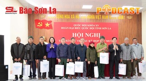 Bản tin Podcast ngày 15/12/2025