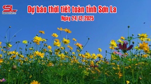 Dự báo thời tiết toàn tỉnh Sơn La ngày 24/12/2025