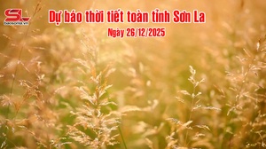 Dự báo thời tiết toàn tỉnh Sơn La ngày 26/12/2025