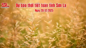 Dự báo thời tiết toàn tỉnh Sơn La ngày 28/12/2025