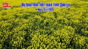 Dự báo thời tiết toàn tỉnh Sơn La ngày 12/1/2026