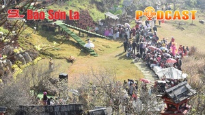 Bản tin Podcast ngày 18/1/2026