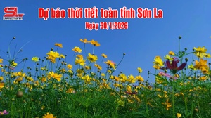  Dự báo thời tiết toàn tỉnh Sơn La ngày 30/01/2026