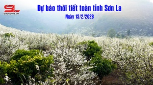 Dự báo thời tiết toàn tỉnh Sơn La ngày 13/2/2026