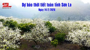 Dự báo thời tiết toàn tỉnh Sơn La ngày 14/2/2026