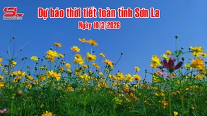  Dự báo thời tiết toàn tỉnh Sơn La ngày 10/3/2026