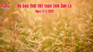 Dự báo thời tiết toàn tỉnh Sơn La ngày 11/3/2026
