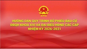 Hướng dẫn quy trình bỏ phiếu bầu cử