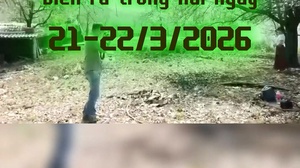 Ngày hội Hoa Sơn tra 2026