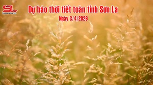 Dự báo thời tiết toàn tỉnh Sơn La ngày 3/4/2026