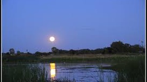 Truyện Podcast: Phía trăng lên