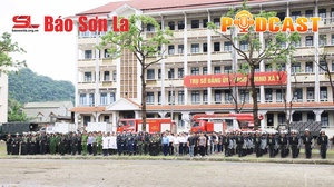 Bản tin Podcast ngày 9/6/2026