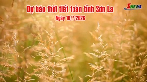 Dự báo thời tiết toàn tỉnh Sơn La ngày 10/7/2026