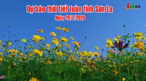 Dự báo thời tiết toàn tỉnh Sơn La ngày 28/7/2026