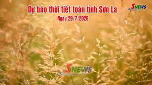 Dự báo thời tiết toàn tỉnh Sơn La ngày 29/7/2026