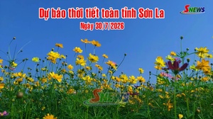 Dự báo thời tiết toàn tỉnh Sơn La ngày 30/7/2026