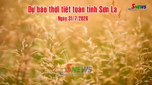Dự báo thời tiết toàn tỉnh Sơn La ngày 31/7/2026