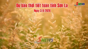 Dự báo thời tiết toàn tỉnh Sơn La ngày 3/8/2026